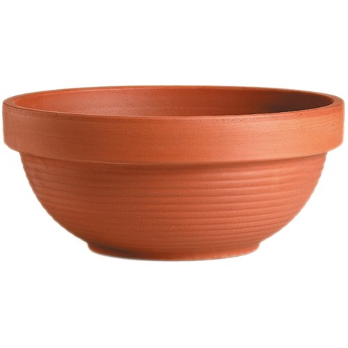 Deroma 5.2 in. H X 10.6 in. W X 10.6 in. D X 10.6 in. D Clay Low Bowl Planter Terracotta