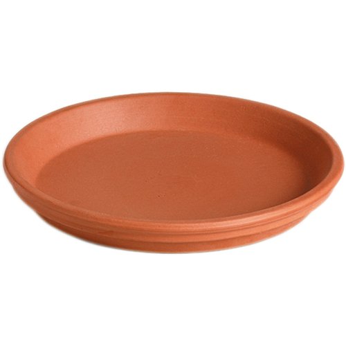 Deroma 1.22 in. H X 9.26 in. W X 9.26 in. D X 9.26 in. D Clay Sottovaso Plant Saucer Terracotta