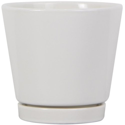 Trendspot 4 in. H X 4 in. W X 4 in. D Ceramic Knack Planter White