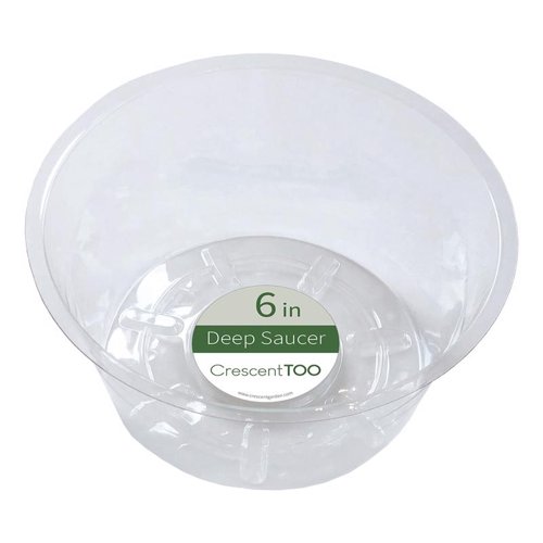 Crescent Garden 2.9 in. H X 6 in. D Plastic Deep Plant Saucer Clear