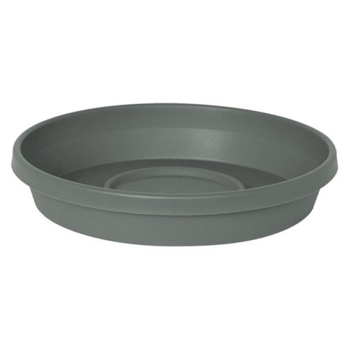 Bloem Terra 0.75 in. H X 3.75 in. W X 3.25 in. D Plastic Traditional Plant Saucer Basil