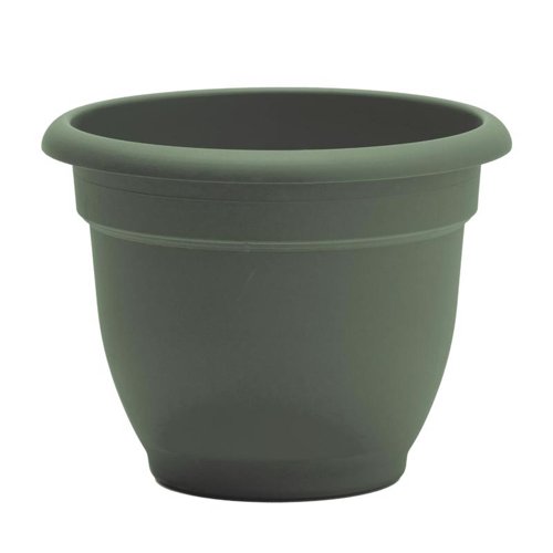 Bloem Ariana 8.5 in. H X 11 in. W X 10 in. D Plastic Traditional Planter Basil