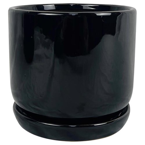 Border Concepts 6 in. D Ceramic Cover Pot Black