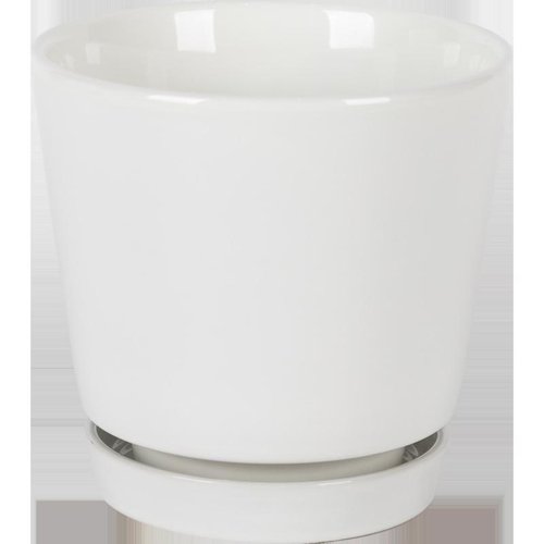 Border Concepts 10 in. D Ceramic Flair Saucer Planter White