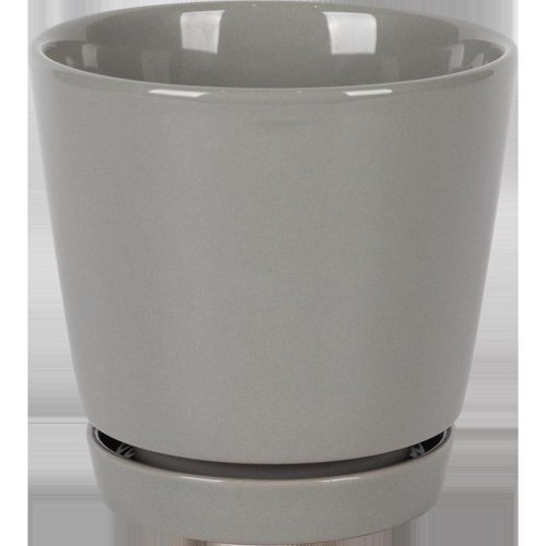 Border Concepts 8 in. D Ceramic Flair Saucer Planter Grey