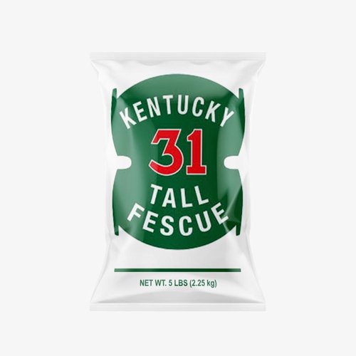 Barenbrug Kentucky 31 Tall Fescue Grass Sun or Shade Grass Seed 5 lb