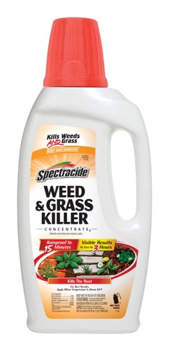 Spectracide Weed and Grass Killer Concentrate 32 oz