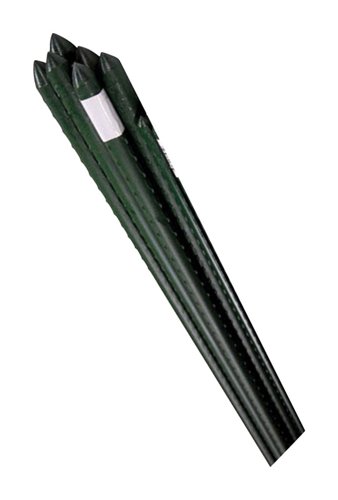 Bond 6 in. H X 0.6 in. W Green Steel Plant Stake