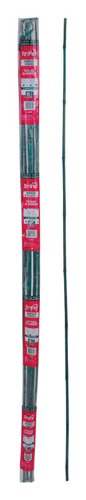Bond 6 in. H X 1/2 in. W Green Bamboo Garden Stakes