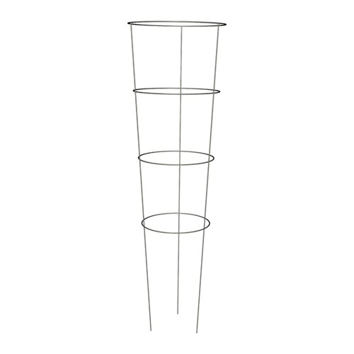 Panacea 42 in. H X 14 in. W Gray Steel Plant Support