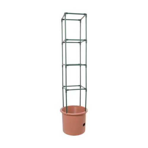 Hydrofarm 12 in. H X 14 in. W Green Plastic Tomato Cage