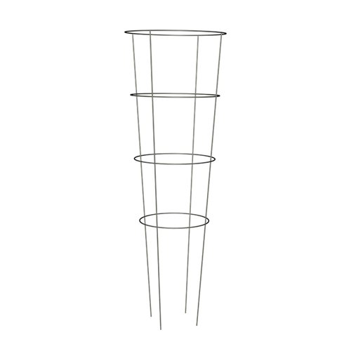 Panacea 60 in. H X 18 in. W Gray Steel Tomato Cage