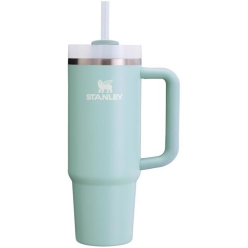 Stanley Quencher H2.0 FlowState 30 oz Seafoam BPA Free Insulated Straw Tumbler