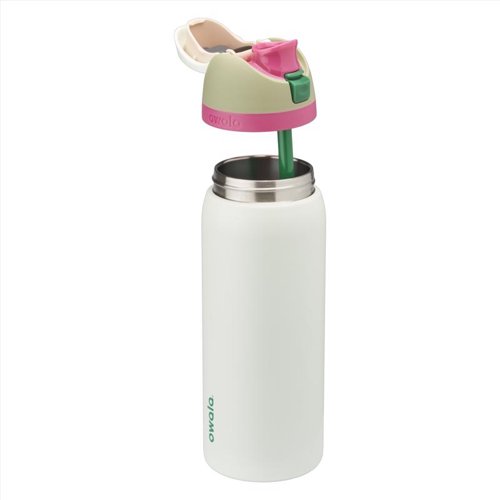 Owala FreeSip 32 fl. oz. Mint BPA Free Alpine Sport Water Bottle with Spout Lid