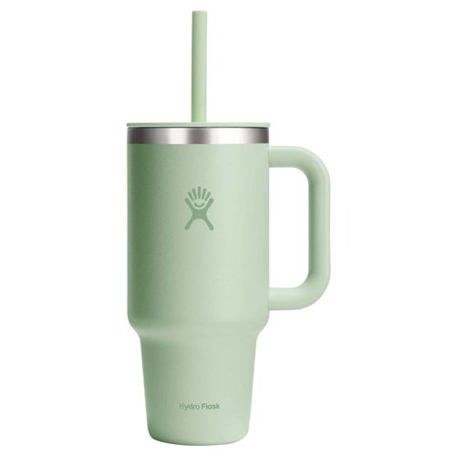 Hydroflask 32 fl. oz. Aloe BPA Free Insulated Straw Tumbler