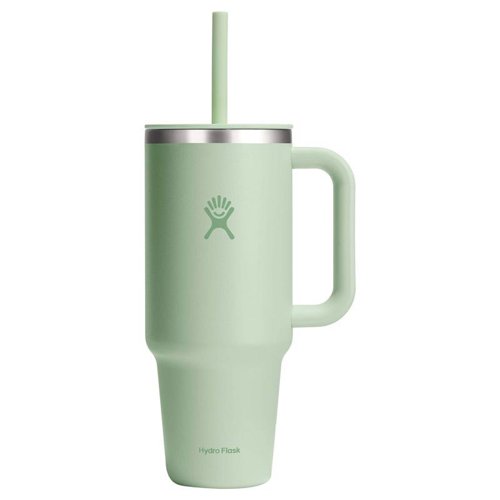 Hydroflask 40 fl. oz. aloe BPA Free Insulated Straw Tumbler