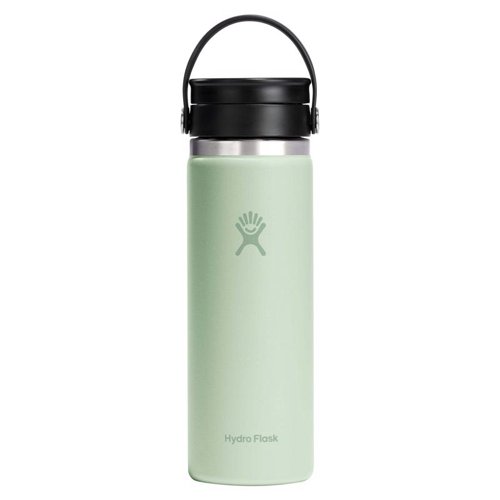 Hydroflask Sip 20 fl. oz. Aloe BPA Free Insulated Bottle