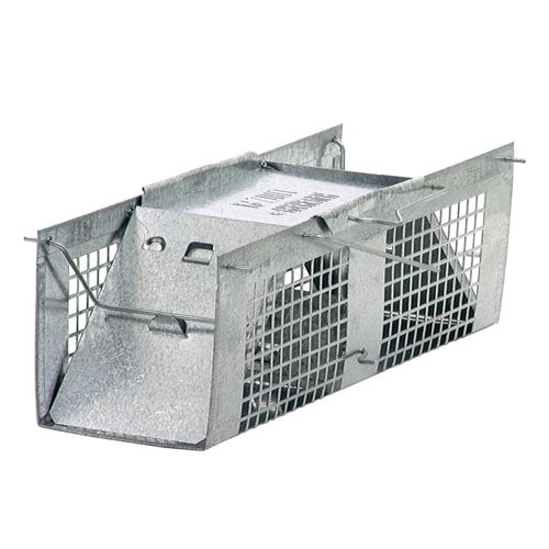 Havahart Large Live Catch Cage Trap For Cats and Raccoons 1 pk