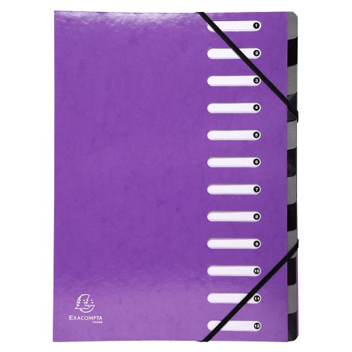 Iderama Multipart File with exp Spine 12 Sections Purple PK6