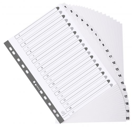 20588EX - Exacompta Index 1-20 A4 160gsm Card White with White Mylar Tabs - MWD1-20Z