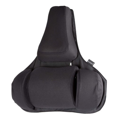 Fellowes professional back support