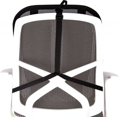 Fellowes Professional Series Mesh Back Support Black 8029901