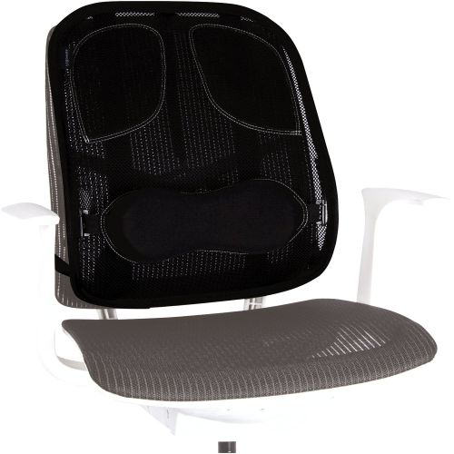 Fellowes Professional Series Mesh Back Support Black 8029901
