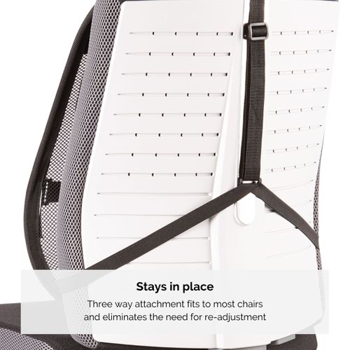 Fellowes Professional Series Mesh Back Support Black 8029901