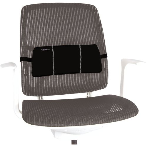 portable lumbar support