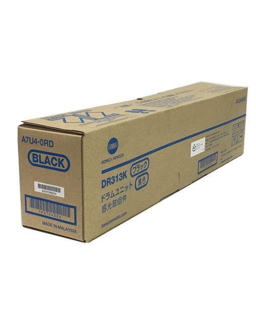 DR313K