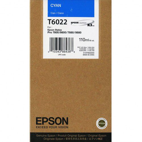 Epson T6022 Cyan Ink Cartridge 110ml - C13T602200