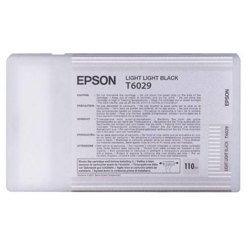Epson T6029 Light Black Ink Cartridge 110ml - C13T602900