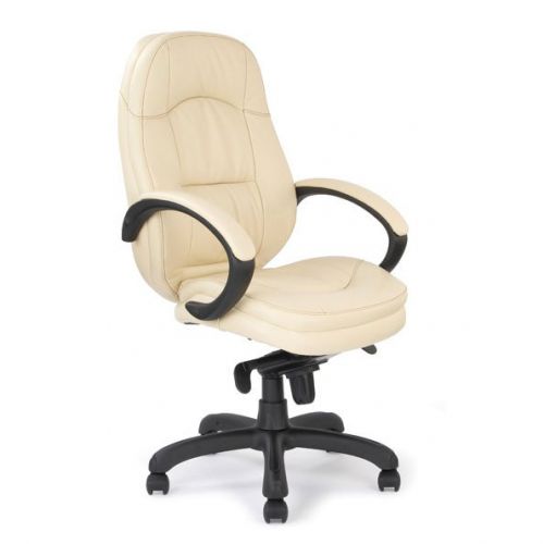 Brighton Stylish Leather Faced Executive Armchair Cream