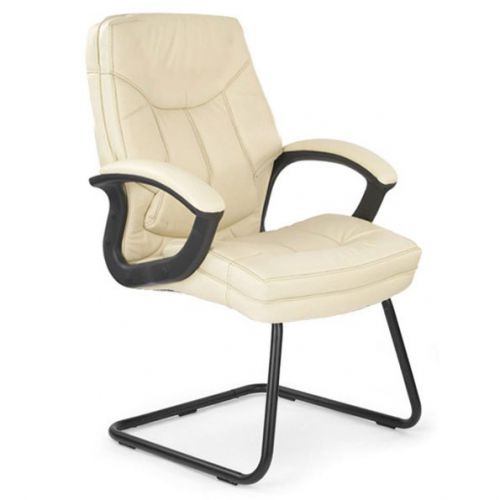 Hudson C Cantilever Frmed Leather Faced Armchair CM