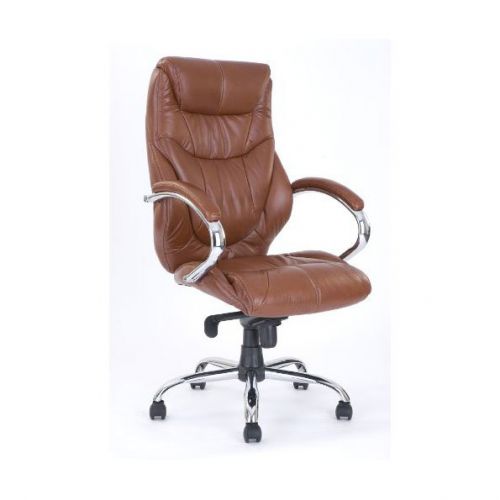 Sandown C Chrome Cantilever Leather Vstrs Armchair TN