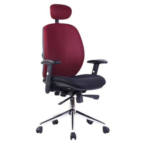 Pegasus High Back Mesh Exec Armchair With Headrest RD&BK