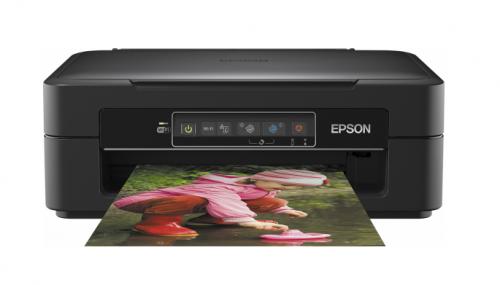 Epson Expression Home XP245 Printer