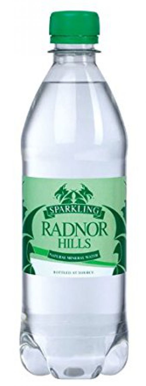 Radnor Hills Sparkling Bottled Water 500ml (Pack 24) 201036 Cold Drinks 52998CP