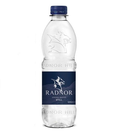 Radnor Hills Still Bottled Water 500ml (Pack 24) 201037 Cold Drinks 85299CP