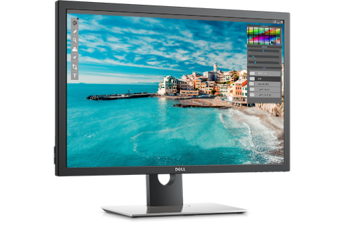 Dell 30 Inch Monitor