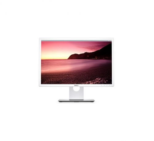 Dell P2217W 22 Inch Monitor