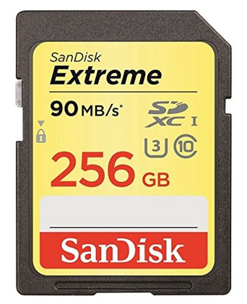 Sandisk Extreme SD 256GB