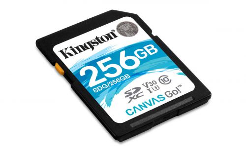 8KISDG256GB