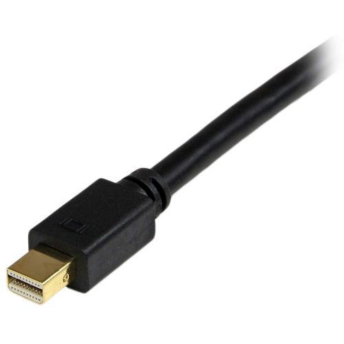 StarTech.com 6 ft Mini DisplayPort to DVI Adapter