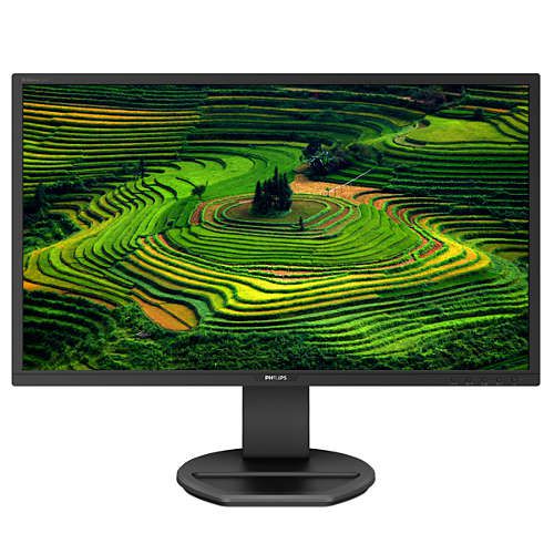 Philips B Line 221B8LHEB 22in LCD Monitor