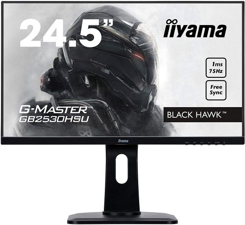 24.5in Monitor Full HD Speakers VGA HDMI