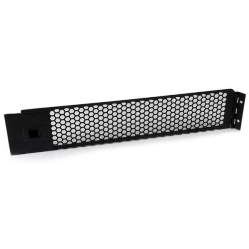 2U Hinged and Vented Blank Rack Panel