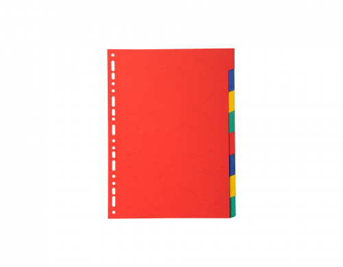 Exacompta Forever Recycled Divider 8 Part A4 220gsm Card Vivid Assorted Colours - 2008E