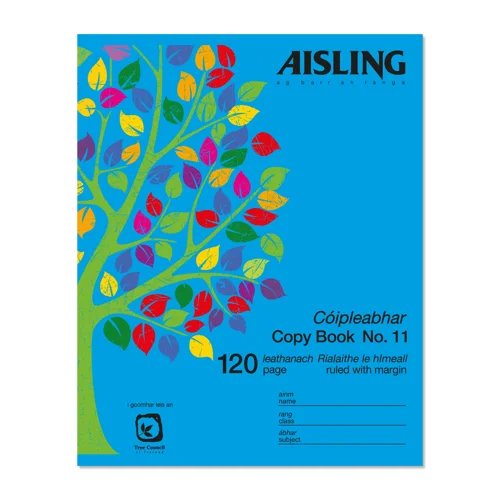 Aisling Copybook Writing 120Pg Pk10