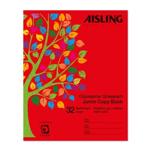 Aisling Junior 10mm Writing Copy Pk10